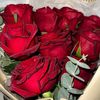hanaa.bslm