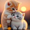 usmanghani84116