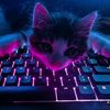 cat073720481