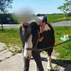 pammi_die_rakete1