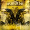 aek.fc20