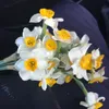 adilali18511
