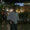 tayger.tayger6