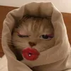 bibble_dribble8
