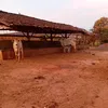 paulopc13