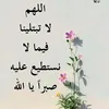 user8251956801754