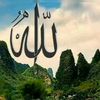 hayat.ayad
