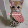 lo._88n