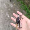 oktavian.karisma