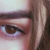 shatww_0