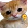 zaakyy0_0