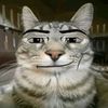 cottt.jj