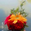 al.mamun1817