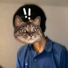ki.mon7