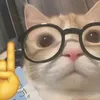 panfila_quidato