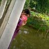 user2102582703734