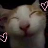 luvvvvv_4u