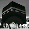 mayabemohammad