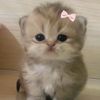 nong_monmon