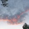 adiya_17072014