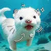 _.nhuieee