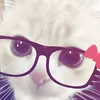 chu.gi41