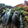 azooderna