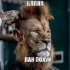 chupep6972