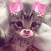 ray_ry2