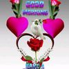 nouin.tara