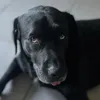retrob0t_0
