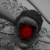 alyan.khan528