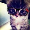nemam_ime12344