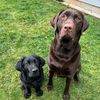 moose.and.miller1
