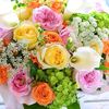 user3080312055000