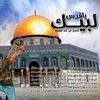walid.allani4