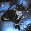 eartha.kitten_
