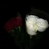 sweetxynix