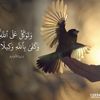user2819168018349