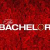 students.of.the.bachelor