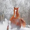sylvettemamoune