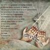 ana.louisa.r