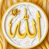 user691509908178
