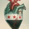 abdallah_338