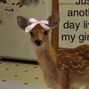 stargurl4443