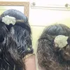 lia.souza88