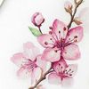 amel.abuhajer
