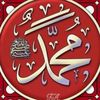maliksahb6767