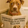 juancarloscaicedo82