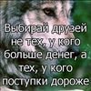 mursal_858